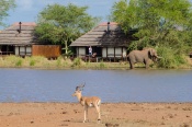 4* Shishangeni by Bon Hotels - Kruger National Park Package (2 nights)