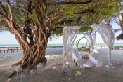4* Diamonds Mapenzi Beach Resort - Zanzibar Package (7 Nights)