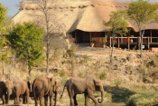 3* Superior The Wallow Lodge - Victoria Falls Package (3 Nights)